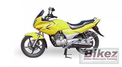 2007 Hero Honda Karizma photo